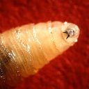 June 30